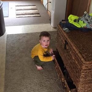 Meet your Posher, Noah